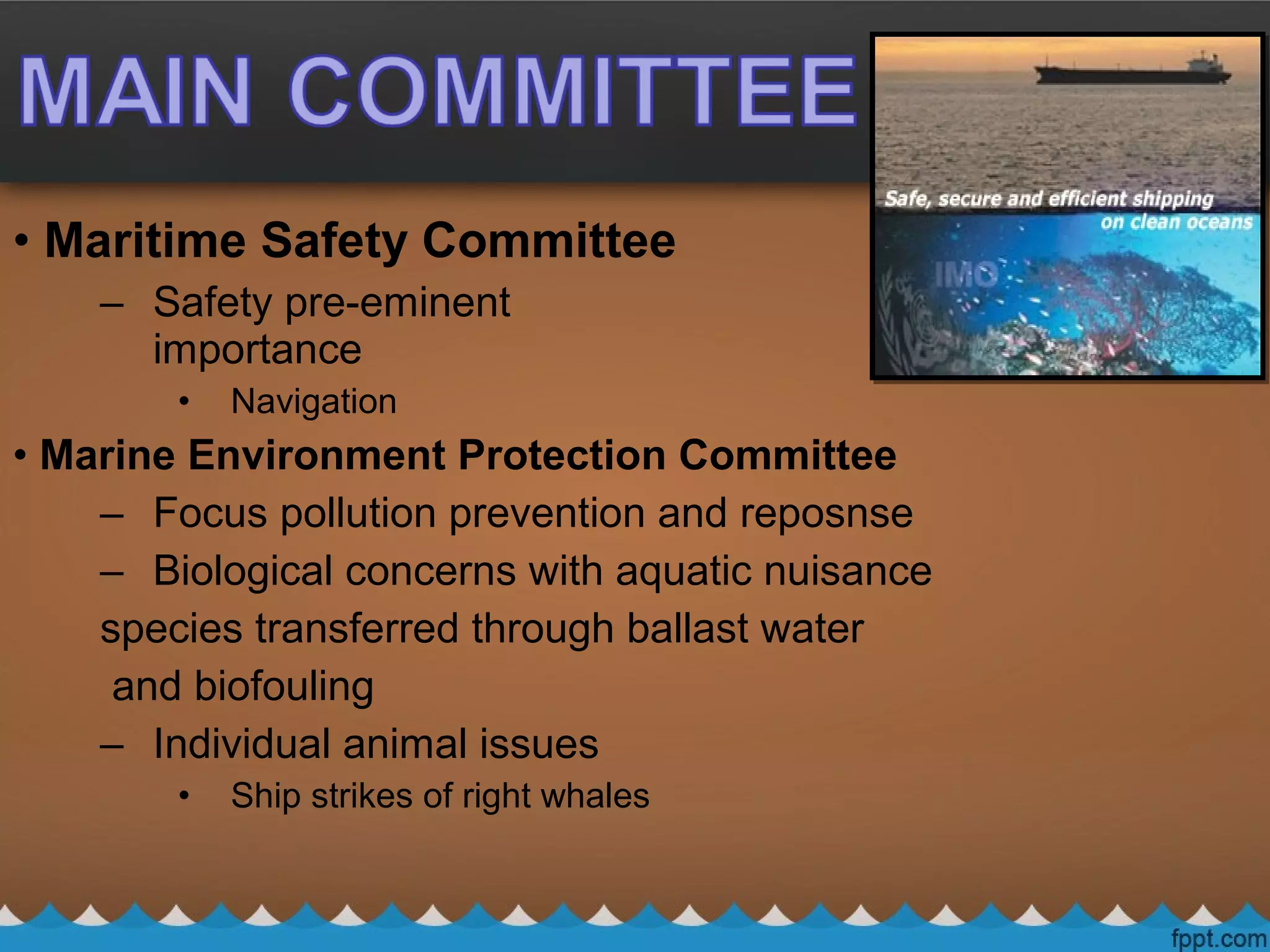 • Maritime Safety Committee
– Safety pre-eminent
importance
• Navigation
• Marine Environment Protection Committee
– Focus pollution prevention and reposnse
– Biological concerns with aquatic nuisance
species transferred through ballast water
and biofouling
– Individual animal issues
• Ship strikes of right whales
 