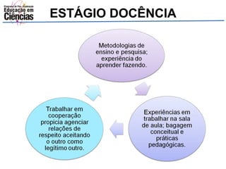 ESTÁGIO DOCÊNCIA 
 