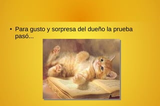 ● Para gusto y sorpresa del dueño la prueba
pasó...
 