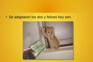 ● Se adaptaron los dos y felices hoy son.
 