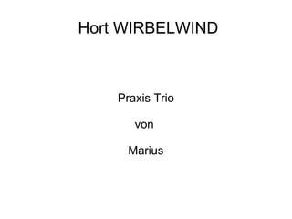 Hort WIRBELWIND Praxis Trio von  Marius 