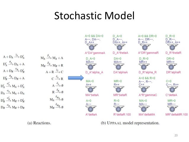 stochastic model