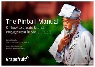 The Pinball Manual
 