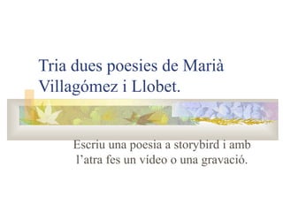 Tria dues poesies de Marià
Villagómez i Llobet.


    Escriu una poesia a storybird i amb
    l’atra fes un vídeo o una gravació.
 