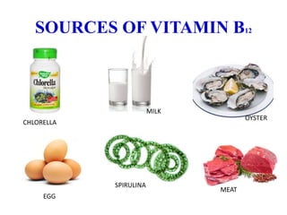SOURCES OF VITAMIN B12
CHLORELLA
MILK
OYSTER
EGG
SPIRULINA
MEAT
 