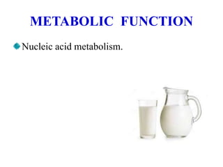 METABOLIC FUNCTION
Nucleic acid metabolism.
 