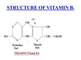 STRUCTURE OF VITAMIN B1
 