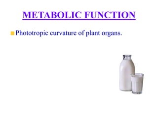 METABOLIC FUNCTION
Phototropic curvature of plant organs.
 