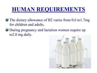 HUMAN REQUIREMENTS
The dietary allowance of B2 varies from 0.6 to1.7mg
for children and adults.
During pregnancy and lactation women require up
to2.0 mg daily.
 