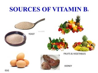 SOURCES OF VITAMIN B3
YEAST
EGG
FRUITS & VEGETABLES
KIDNEY
 
