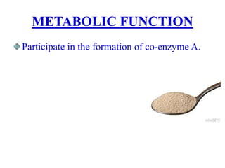 METABOLIC FUNCTION
Participate in the formation of co-enzyme A.
 