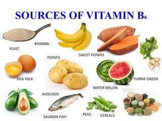 SOURCES OF VITAMIN B6
YEAST
BANANA
EGG YOLK
AVOCADO
SALMON FISH
PEAS CEREALS
WATER MELON
SWEET POTATO
POTATO
TURNIP GREEN
 