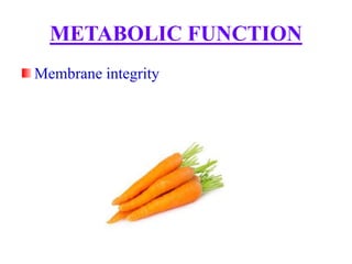 METABOLIC FUNCTION
Membrane integrity
 