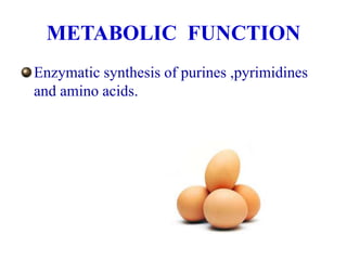 METABOLIC FUNCTION
Enzymatic synthesis of purines ,pyrimidines
and amino acids.
 