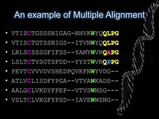 MULTIPLE SEQUENCE ALIGNMENT | PPTX