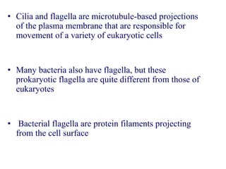 • Cilia and flagella are microtubule-based projections
of the plasma membrane that are responsible for
movement of a variety of eukaryotic cells
• Many bacteria also have flagella, but these
prokaryotic flagella are quite different from those of
eukaryotes
• Bacterial flagella are protein filaments projecting
from the cell surface
 
