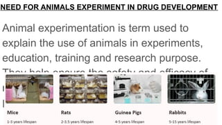 Drug Development Animals Comprehensive Overview of Animal Experimentation in Drug Development ...