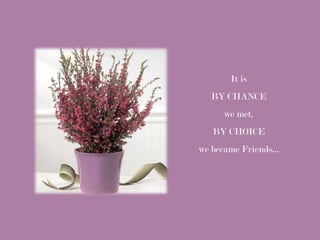 It is
  BY CHANCE
     we met,
   BY CHOICE
we became Friends…
 