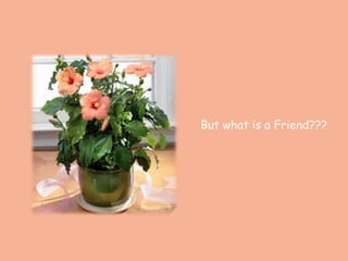 But what is a Friend???
 
