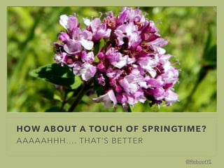20 Seconds to Springtime
