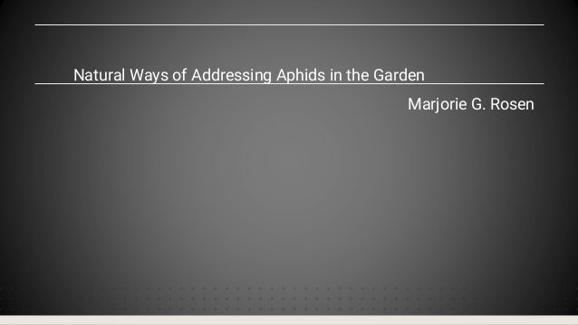 Natural Ways of Addressing Aphids in the Garden
Marjorie G. Rosen
 