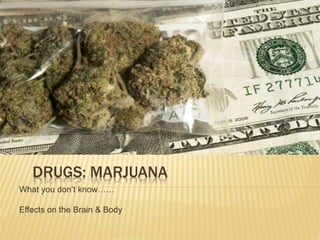 DRUGS: MARJUANA
What you don’t know……
Effects on the Brain & Body
 