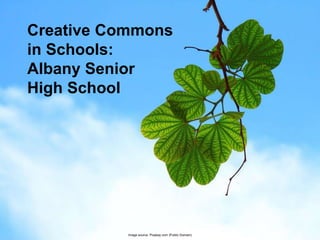 Image source: Pixabay.com (Public Domain)
Creative Commons
in Schools:
Albany Senior
High School
 
