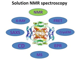 Protein structure determination from hybrid NMR data. | PDF