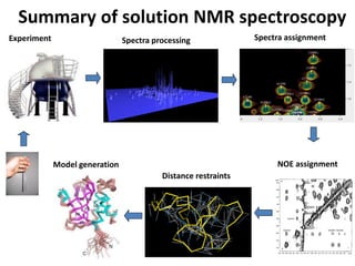 Protein structure determination from hybrid NMR data. | PDF