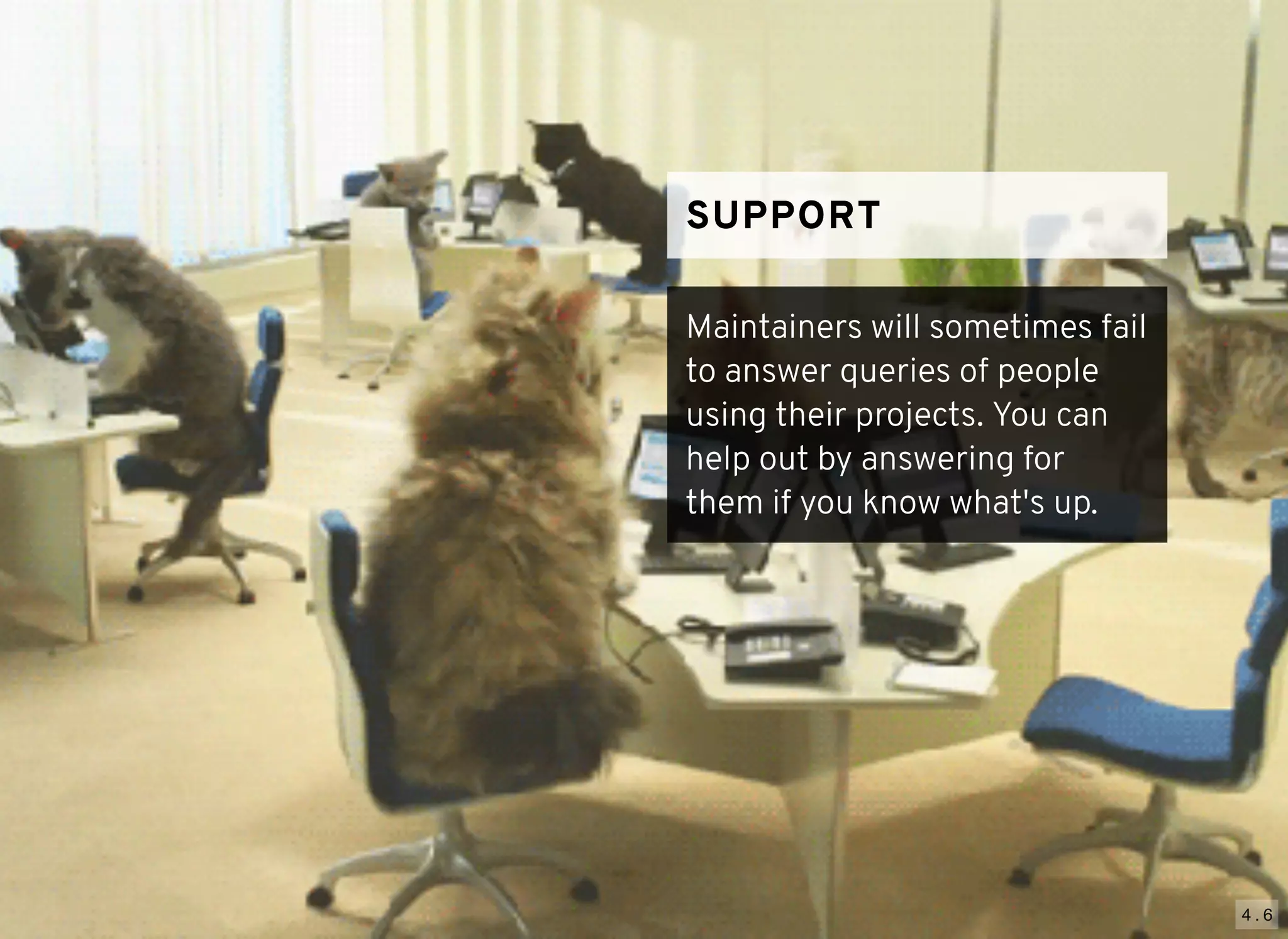 4 . 6
SUPPORTSUPPORT
Maintainers will sometimes fail
to answer queries of people
using their projects. You can
help out by answering for
them if you know what's up.
 
