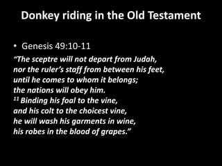 Donkey riding in the Old Testament
• Genesis 49:10-11
“The sceptre will not depart from Judah,
nor the ruler’s staff from between his feet,
until he comes to whom it belongs;
the nations will obey him.
11 Binding his foal to the vine,
and his colt to the choicest vine,
he will wash his garments in wine,
his robes in the blood of grapes.”
 