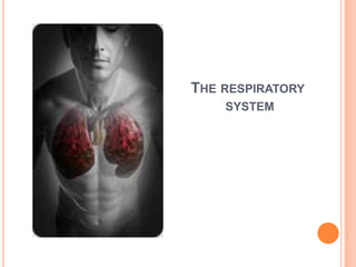 The respiratory system 