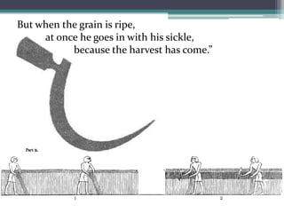 But when the grain is ripe, at once he goes in with his sickle, 	because the harvest has come.” 