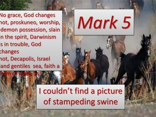 No grace, God changes
not, proskuneo, worship,
demon possession, slain
in the spirit, Darwinism
is in trouble, God
changes
not, Decapolis, Israel
land gentiles sea, faith a
form of work, Ss

Mark 5

I couldn’t find a picture
of stampeding swine

 