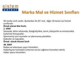 Marka Mal ve Hizmet Sınıfları 45 marka sınıfı vardır. Bunlardan ilk 35’i mal , diğer 10 tanesi ise hizmet sınıflarıdır. Örnek olarak Mal Sınıfı; 1. SINIF Sanayide, bilim sahasında, fotoğrafçılıkta, tarım, bahçecilik ve ormancılıkta kullanılan kimyasallar. İşlenmemiş suni reçineler ve işlenmemiş plastikler. Gübreler ve topraklar. Örnek  olarak Hizmet Sınıfı 38. SINIF Radyo ve televizyon yayın hizmetleri. Haberleşme hizmetleri (internet servisi sağlama hizmetleri dahil). Haber ajansı hizmetleri. 