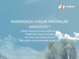 MARKANIZA UYGUN MECRALAR
       ᴡİİ?
    -Hangi mecra ne amaçla kullanılıyor?
        -Hedef kitle hangi mecrada?
        -Her mecra da olmalı mıyım?
   -Her marka sosyal medyada olmalı mı?
 