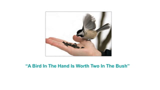 “A Bird In The Hand Is Worth Two In The Bush”
 