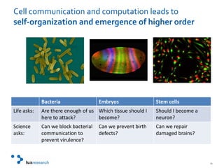 Cell communication and computation leads to self-organization and emergence of higher order