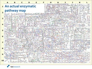 An actual enzymatic pathway map