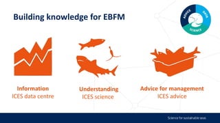 Ecosystem based approach to fisheries management | PPTX