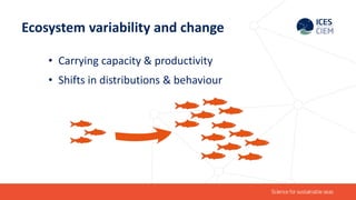 Ecosystem based approach to fisheries management | PPTX