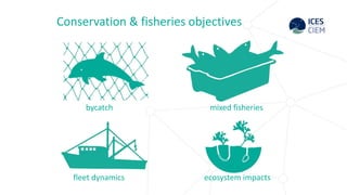 Ecosystem based approach to fisheries management | PPTX
