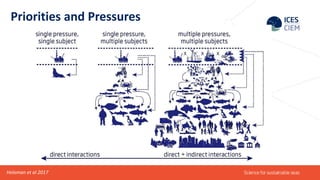 Ecosystem based approach to fisheries management | PPTX