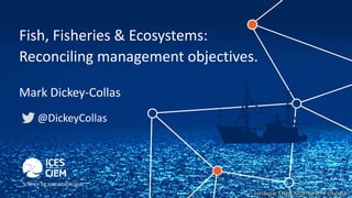 Fish, Fisheries & Ecosystems:
Reconciling management objectives.
Mark Dickey-Collas
@DickeyCollas
 