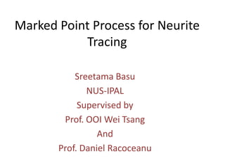 Marked Point Process for Neurite
           Tracing

           Sreetama Basu
              NUS-IPAL
            Supervised by
        Prof. OOI Wei Tsang
                 And
       Prof. Daniel Racoceanu
 
