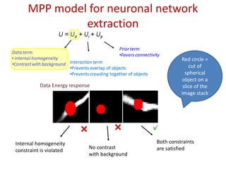 MPP model for neuronal network
              extraction

                                                         Red circle =
                                                             cut of
                                                           spherical
                                                         object on a
          Data Energy response                            slice of the
                                                         image stack




Internal homogeneity                           Both constraints
                             No contrast       are satisfied
constraint is violated
                             with background
 