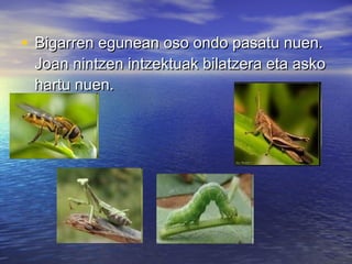 • Bigarren egunean oso ondo pasatu nuen.Bigarren egunean oso ondo pasatu nuen.
Joan nintzen intzektuak bilatzera eta askoJoan nintzen intzektuak bilatzera eta asko
hartu nuen.hartu nuen.
 