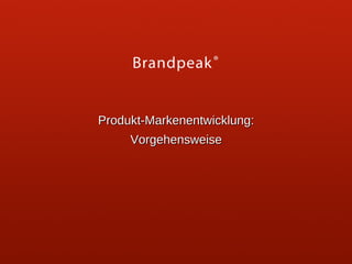 Produkt-Markenentwicklung:
Vorgehensweise

 