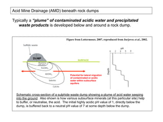 Typically a “plume” of contaminated acidic water and precipitated
waste products is developed below and around a rock dump.
Schematic cross-section of a sulphide waste dump showing a plume of acid water seeping
into the ground. Also shown is how various subsurface minerals (at this particular site) help
to buffer, or neutralise, the acid. The initial highly acidic pH value of 1, directly below the
dump, is buffered back to a neutral pH value of 7 at some depth below the dump.
Figure from Lottermoser, 2007, reproduced from Jurjovec et al., 2002.
Potential for lateral migration
of contaminated or acidic
water within subsurface
aquifers
SURFACE
DUMP
Acid Mine Drainage (AMD) beneath rock dumps
 