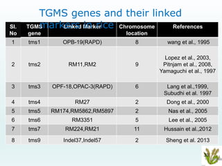 Marker assisted selection of male sterility in rice --vipin | PPTX
